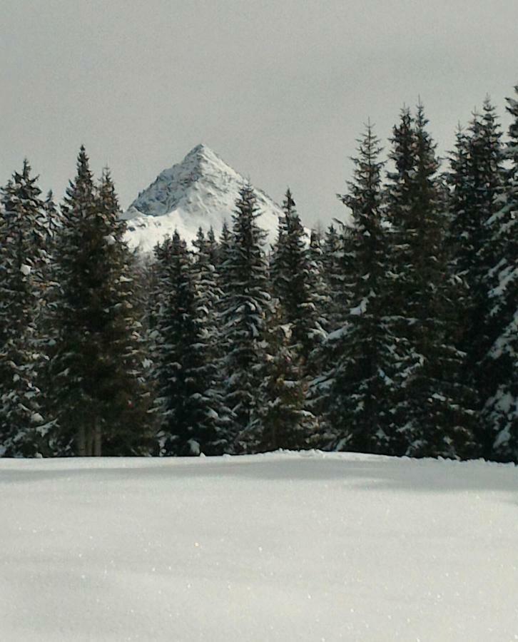 Appartamento Balcone Sulle Dolomiti 2 Dosoledo Esterno foto