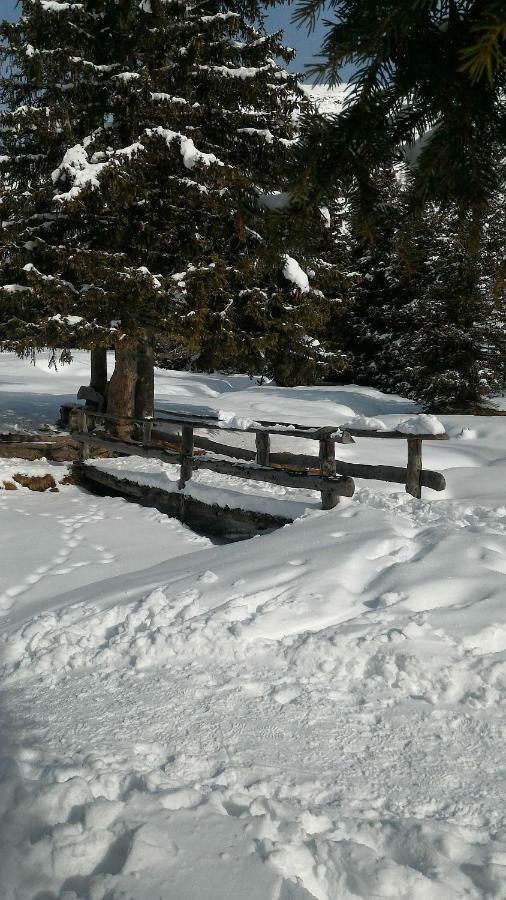 Appartamento Balcone Sulle Dolomiti 2 Dosoledo Esterno foto