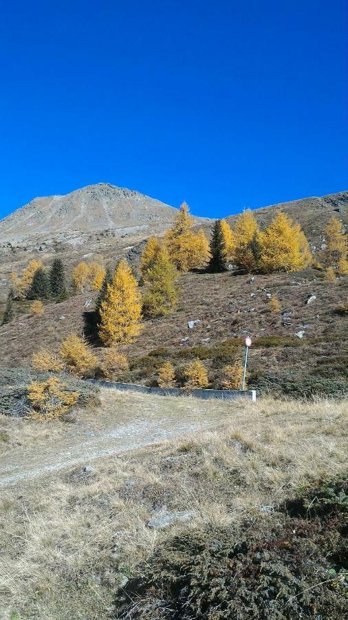 Appartamento Balcone Sulle Dolomiti 2 Dosoledo Esterno foto