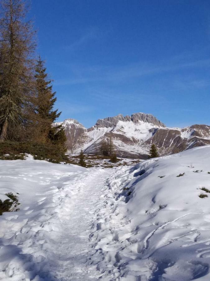 Appartamento Balcone Sulle Dolomiti 2 Dosoledo Esterno foto